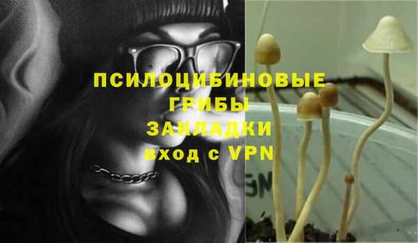 хмурый Алексеевка