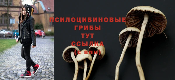 дживик Алзамай