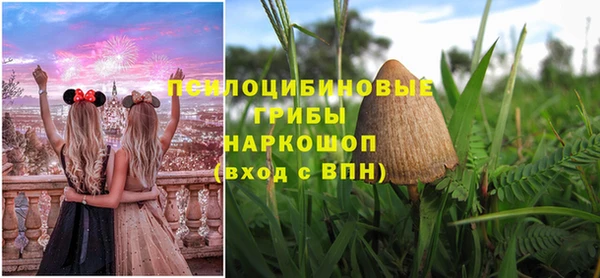 синтетический гашиш Алексин