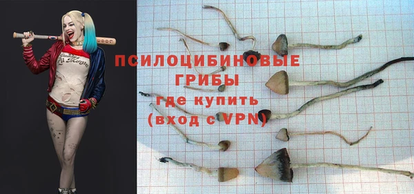 синтетический гашиш Алексин