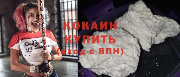 дживик Алзамай