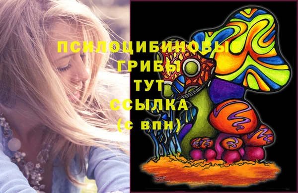 хмурый Алексеевка